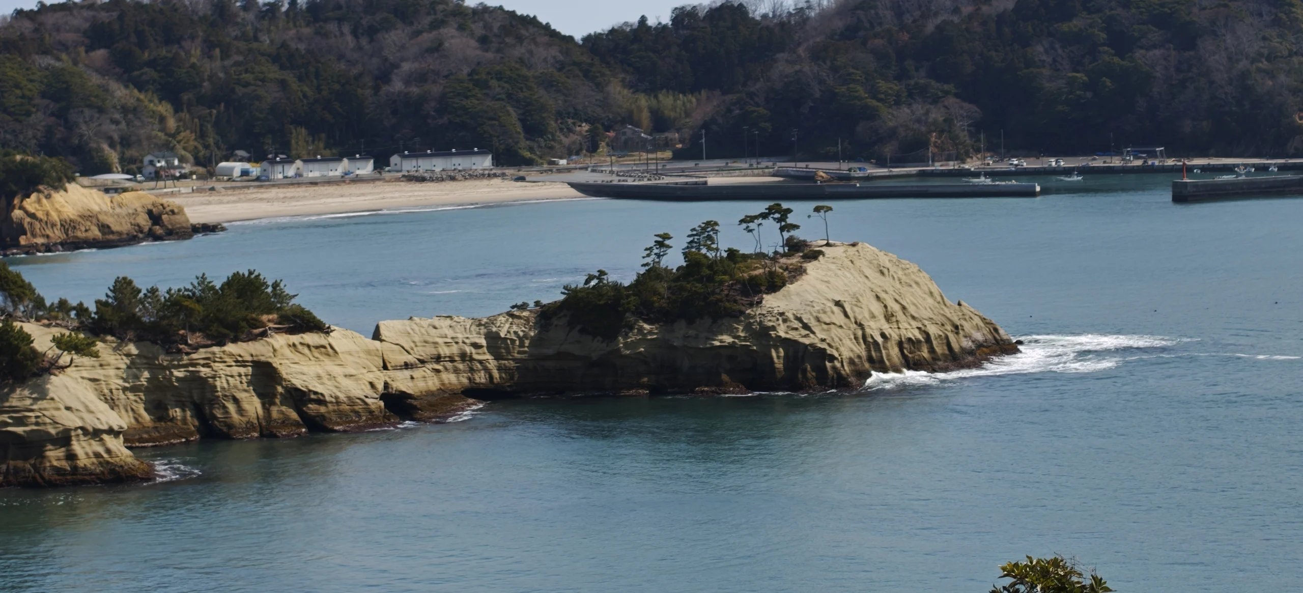 新浜岬 馬の背