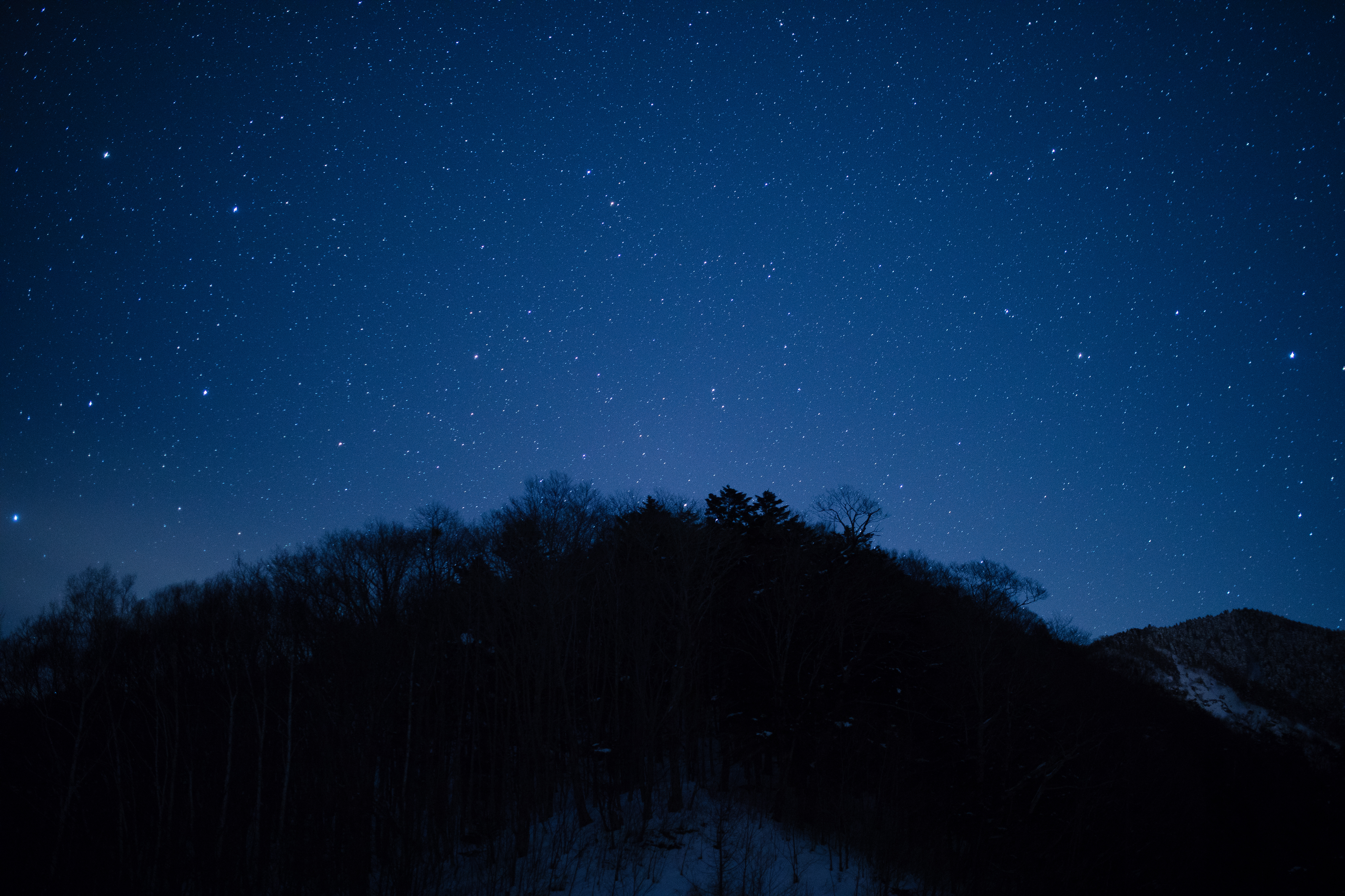 天体観測